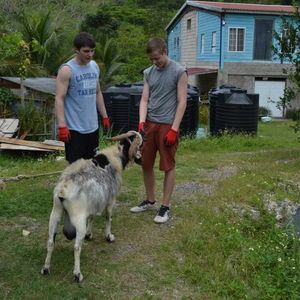 Meet your Posher, Caden